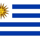 URUGUAY ÜLKE BAYRAĞI 45x30CM DUVAR TABLOSU ÇERÇEVESİZ PVC TABLO