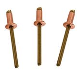 USA Fittings 100 Bakır Pop Perçin 1/8 Çap Pirinç Mandrel Kör Perçin Kubbe Başlı 4-4 (1/8" Çap x 1/4" Kavrama) Adet 100