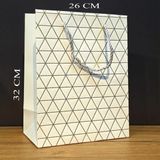 Uslucan Alışveriş Beyaz Geometrik Desenli Büyük Boy Karton Hediye Çantası - Seçenek