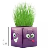 Uslucan Alışveriş Çim Adam Mini Küp Emoji Figürlü 1 Adet