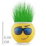 Uslucan Alışveriş Çim Adam Saksı Emoji Figürlü 1 Adet