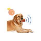 USLUCAN ALIŞVERİŞ Köpekler İçin Sesli Oyuncak Tavuk Butu