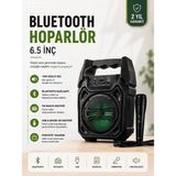 Uslucan Alışveriş Yeni Nesil 6.5 Inç Bluetooth Hoparlör Mikrofonlu Taşınabilir Ses Sistemi - Seçenek