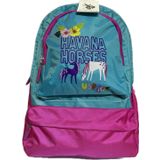 Uspa Plcan22048 U.S. Polo Assn. Okul Sırt Çantası, Ortaokul, Lise, Üniversite Pembe