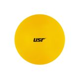 USR GB254 25 cm Mini Pilates Topu