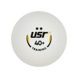 USR Training 100'lü 2 Yıldız Masa Tenisi Antrenman Topu