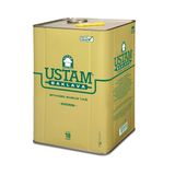 Ustam 18 lt Sade Baklava Yağı