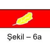 Üstün Başarı Kıdemi (erken Terfi) Şerit Rozeti