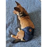 Utd Pet Lacivert Pedli Yıkanabilir Dişi Köpek Çiş ve Regl Külodu