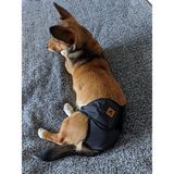 Utd Pet Siyah Pedli Yıkanabilir Dişi Köpek Çiş ve Regl Külodu