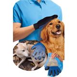 UTDpet Kedi Köpek Tüy Toplama ve Yıkama Eldiveni