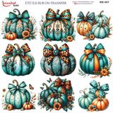 Ütü ile Rub On Transfer Kağıdı 30x30cm RB-807