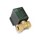 Ütü Solenoid Valf 1/4 / Ty 70006/Ae