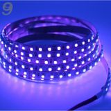 Uv Şerit Led 12V 120 Ledli 2835 Ledli Silikonlu Black Light (1Met