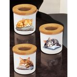 Uyuyan Kedi Baskılı 3'lü Masa Üstü Kalemlik - Kalem Kutusu, Ofis Eşyası Hediyesi
