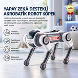 Uzaktan Kumandalı Yapay Zekâ Ses Kontrollü Akrobatik Robot Köpek Oyuncak