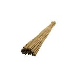 Uzay Bahçesi Gerçek Bambu Çubuk/ Bitki Destek Çubuğu 150 cm 12-14 mm kalınlık 10 Adet
