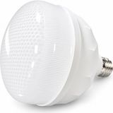 Uzman Dörtler - Ledx 60W Torch Kristal Ampul 6500K Beyaz - 50,1 - 75 W