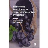 Üzüm Suyunun Oksidatif Stres ve Eşleşme Bozucu Proteinler Üzerine Etkisi