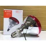 Üzümoğlu Petshop Ledvance 250W Infrared Isıtıcı Lamba 1 Adet Tavuk Civciv Kümes Isıtıcı