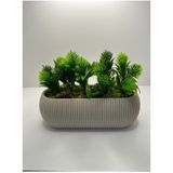 Uzun Bej Renk Saksıda Yapay Çiçek Pembe Iğneli Çam Demeti Dekoratif Mutfak Banyo Masa Çiçeği 21x9x7 - Yeşil