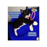 Vaelmont Mavi Peluş Wellsoft Kedi Yatağı, Boncuk Elyaflı ve Yumuşak Kedi ve Köpek Yatağı - Seçenek 1 - Siyah