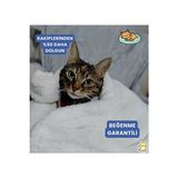 Vaelmont Peluş Wellsoft Kedi ve Köpek Battaniyesi, 90X60 Cm, Yumuşak S Kedi ve Köpek Yatağı - Seçenek 1 - Siyah