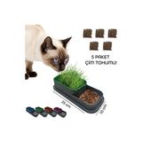 Vaelmont Topraksız Kedi Çimi Kabı – Taze ve Ot Yetiştiriciliği Kedi ve Köpek Yatağı - Seçenek 1 - Siyah