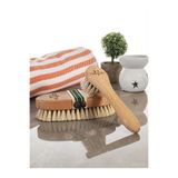 VAGAZZA COSMETİC %100 Kılı Selülit Fırçası & Yüz Bakım Fırçası 2'li Beyaz Set