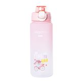 Vagonlife 800 ml Matara Pembe