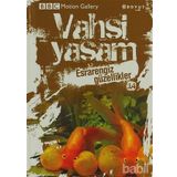 VAHŞI YAŞAM 2 ESRARENGIZ GÜZELLIKLER - GENEL