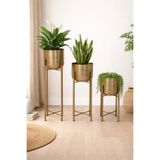 Valda ATLAS 75-60-45 CM METAL GOLD ESKİTME SAKSILIK ÇAP 20 CM