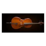 Valencia CE160F44 Çello 4/4 French Style (Öğrenci) | Başlangıç Seti - Kılıf ve Yay Dahil - Parlak