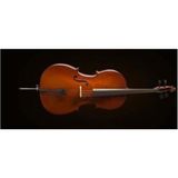 Valencia Ce160f44 Çello 4/4 Karartılmış Akçaağaç Kılıf Ve Yay