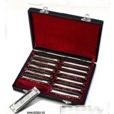 Valencia HM1020-12 12'li Mızıka Set