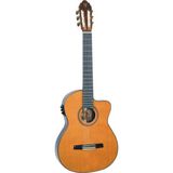 Valencıa Klasik Ince Kasa Gitar 4/4 Scale 650MM - N (Naturel)