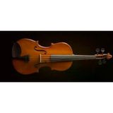 Valencia VA16038 Viyola 15 Inç (Öğrenci Seti) | 38 cm - Orta Boy - Yay ve Kutu Dahil