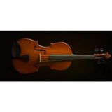 Valencıa Va16038 Viyola Kutulu 15" 38cm