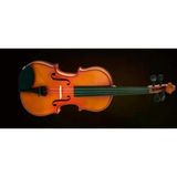 Valencıa Va40040 Viyola Kutulu 16'' (40,64Cm)