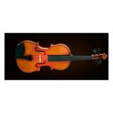 Valencia Valencıa VA40040 Viyola Kutulu 16'' (40,64CM)