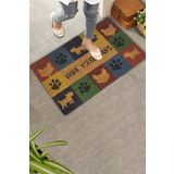 Valerine Life Patilerinizi Silin Kedi Köpek İkonlu Welcome Hoş Geldiniz Kapı Önü Paspası 45x70cm