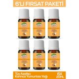 Valide Sultan Tüy Azaltıcı Karınca Yumurtası Yağı 6 x 20 ML