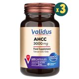 Validus AHCC 3000 mg 3x120 Kapsül