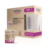 Validus Collagen 10.000 mg + Elastin 100 mg + Glutathione 200 mg 30 Sachets + Shaker (Gift Set)