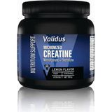 Validus Creatin Monohydrate + Electrolyte 500G