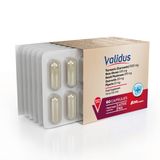 Validus Curcumin 500 mg + Piperin + Inula Henelium + Astragalus + Quercetin + Reishi + Moringa 60 Capsules