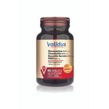 Validus Glucosamine + Chondroitin + Msm Tablet