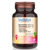 Validus Gymnema Sylvestre 400 mg Cinnamon 300 mg 90 Kapsül