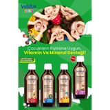 Validus Kids Multi Set - Multivitamin - Fish Oil - Citicoline