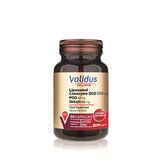 Validus Liposomal Coenzyme Q10 150 Mg + Pqq + Shilajit 30 Kapsül